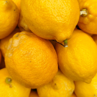 Lemon 