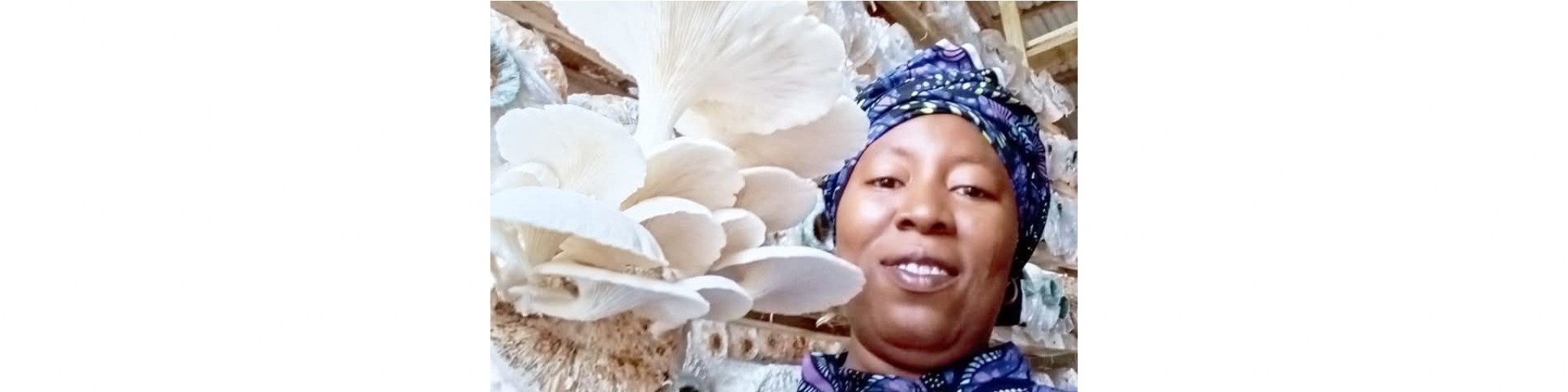  Mushroom Planet Integrated Farms 