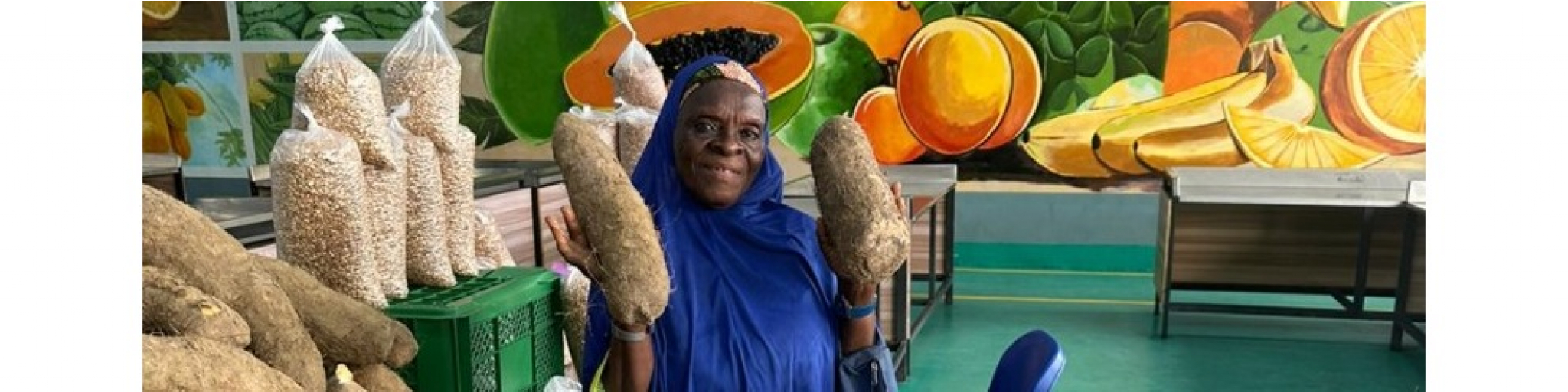  FreshFoodHub Mushin (Pickup)
