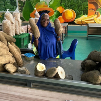  FreshFoodHub Mushin (Pickup)